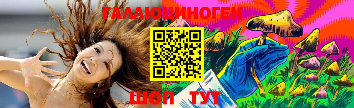 Менделеевск  Галлюциногенные грибы Psilocybe  Вход с VPN 